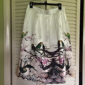 Unique parakeet skirt